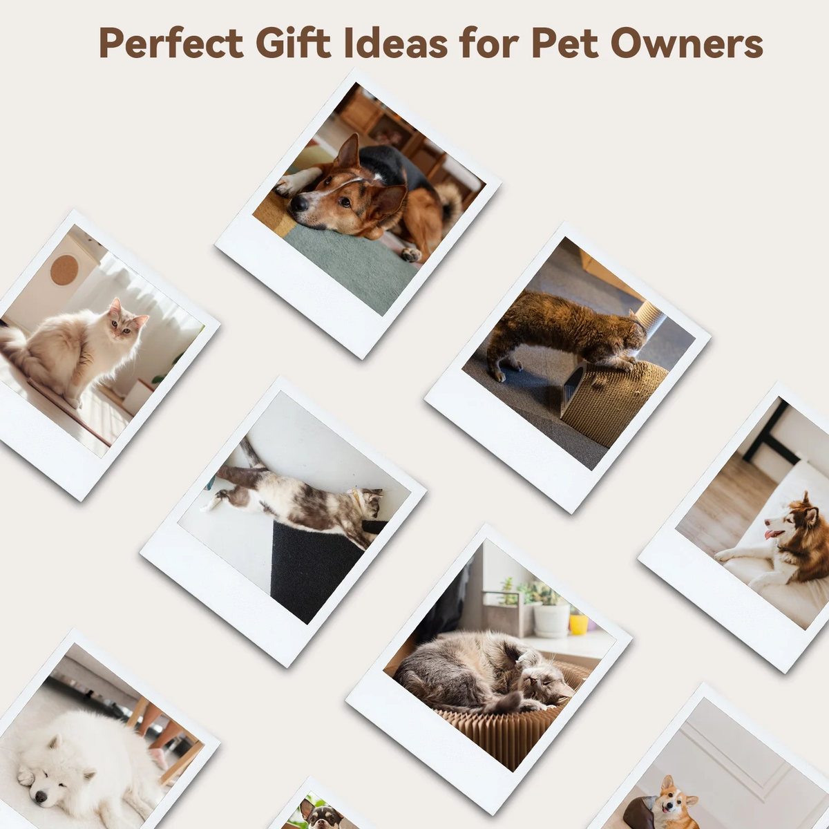 Cat & Dog Grooming Brush – Self-Cleaning Slicker Brush for Shedding, Removes Loose Fur & Tangles, Gentle & Skin-Friendly, Perfect for All Coat Types – Gray