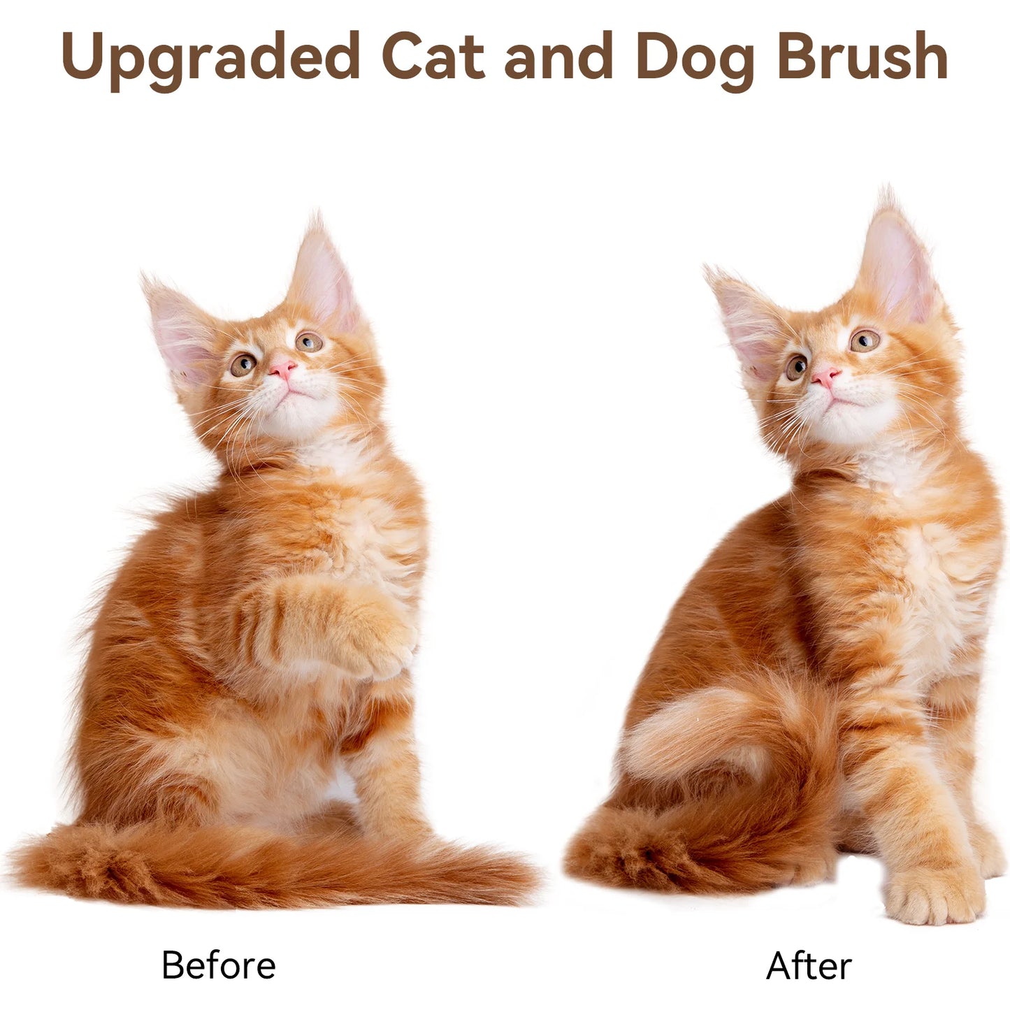 Cat & Dog Grooming Brush – Self-Cleaning Slicker Brush for Shedding, Removes Loose Fur & Tangles, Gentle & Skin-Friendly, Perfect for All Coat Types – Gray